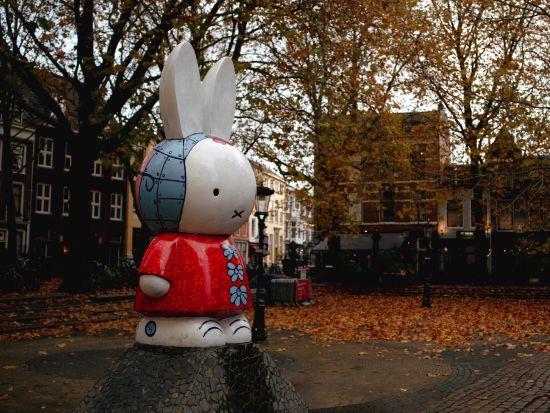 フォトグラファーと歩くミッフィーだらけのユトレヒト観光　写真撮影サービス付き＜約2時間／午後／日本語／ユトレヒト発＞