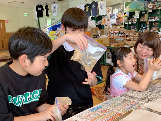 ちんすこう作り体験 うるま市産の小麦を使ってオリジナルちんすこうを作ろう！雨の日にもぴったり◎＜約1時間／0歳～／商品券プレゼント／本島中部 うるま市＞