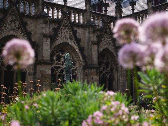 フォトグラファーと歩くユトレヒト半日ツアー　鉄道博物館へ入場！　写真撮影サービス付き＜約5.5時間／午前／日本語／ユトレヒト発＞の写真5