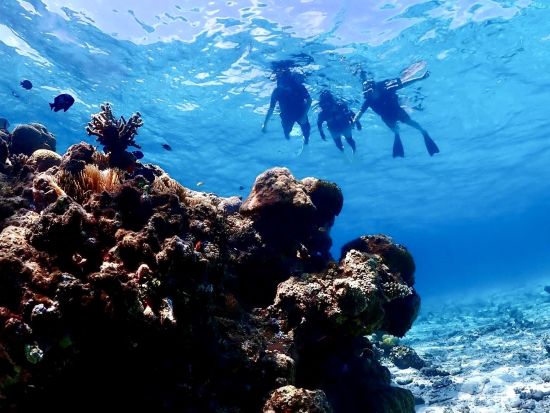 【貸切】シュノーケルツアー　離島ならではの美しい海でシュノーケリングを体験！体験中の撮影データ無料プレゼント付き＜約2時間／宮古島または伊良部島＞