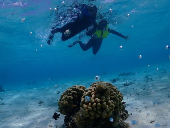 【貸切】シュノーケルツアー　離島ならではの美しい海でシュノーケリングを体験！体験中の撮影データ無料プレゼント付き＜約2時間／宮古島または伊良部島＞