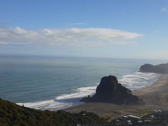 ワイタケレ山脈公園半日ツアー　タスマン海などニュージーランドの大自然を満喫＜日本語ガイド／オークランド発＞