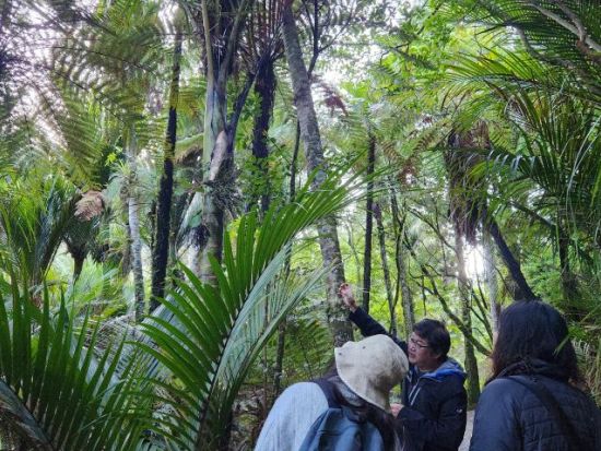 ワイタケレ山脈公園半日ツアー　タスマン海などニュージーランドの大自然を満喫＜日本語ガイド／オークランド発＞