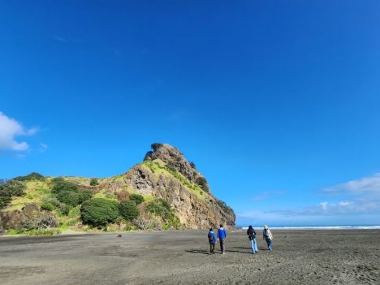 ワイタケレ山脈公園半日ツアー　タスマン海などニュージーランドの大自然を満喫＜日本語ガイド／オークランド発＞