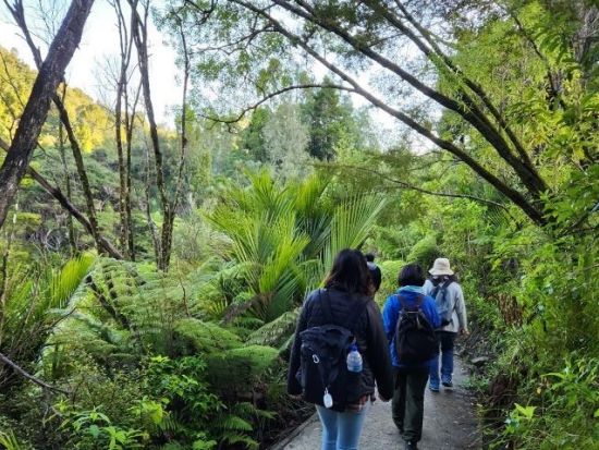 ワイタケレ山脈公園半日ツアー　タスマン海などニュージーランドの大自然を満喫＜日本語ガイド／オークランド発＞
