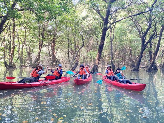 宮良川マングローブカヤック！背もたれ付で超快適♪ファミリーやシニアにもおすすめ！貸切プランもあり【スマホ撮影付き】＜石垣島発＞
