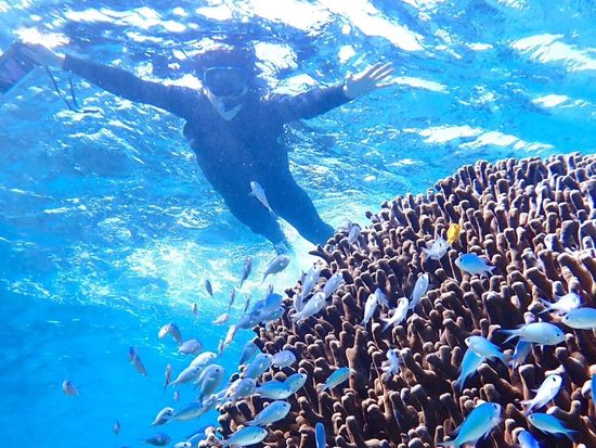 シュノーケリング (6)