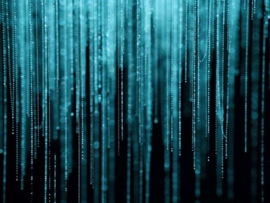 ワイトモ鍾乳洞＆ロトルア1日観光ツアー　世界8番目の不思議を体験＜日本語ガイド／オークランド発着＞