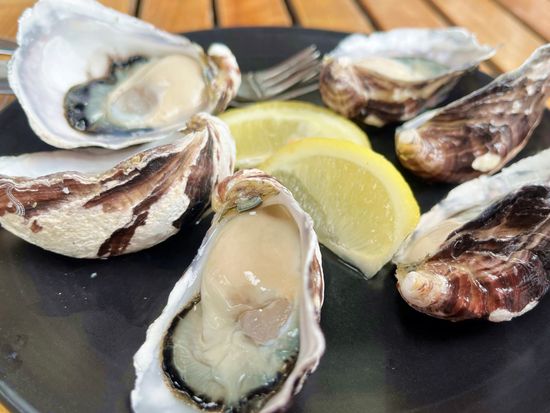Fresh Oyster