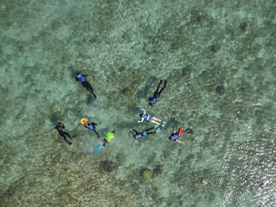 DJI_0915.JPG_compressed