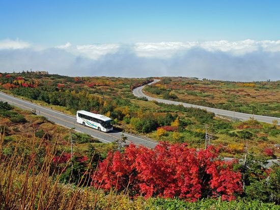 2024.C-①-35 (紅葉の鏡石平と立山高原バス)