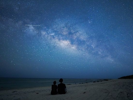 【ベルトラ限定！最安値】亜熱帯の生き物と星空を楽しむナイトツアー 日本最西端 与那国島の夜を大満喫！ ＜2名参加OK／1.5時間／島内ホテル送迎可／与那国島＞