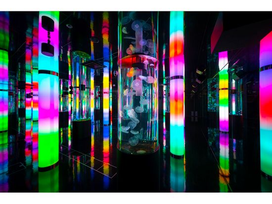 蜀咏悄邏譚・aquarium_29