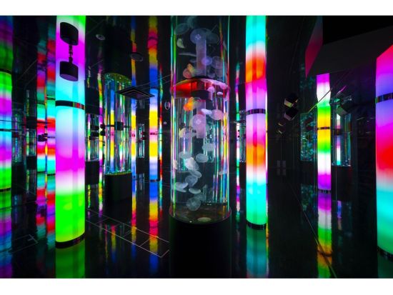 DMMかりゆし水族館チケット 新しいカタチのエンターテイメント水族館 お得にラクラク観光を楽しもう♪＜指定日から60日間引換OK／豊見城市＞