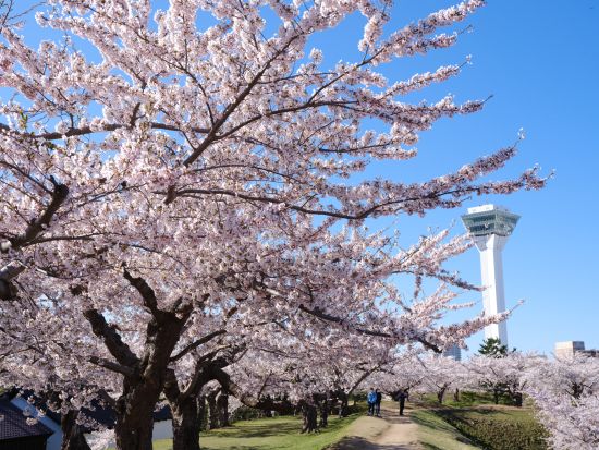 函館 五稜郭タワー展望チケット事前予約　地上90mあら360度函館を一望！五稜郭の美しい五角形を眺めよう＜年中無休／函館＞