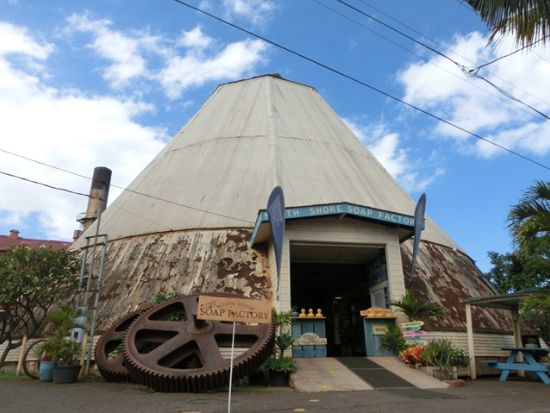 ノースショア（ハレイワ）観光＋星空観測ツアー　ドールプランテーション＋ハレイワ自由散策付き＜午後発／日本語ガイド＞