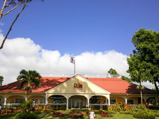 ノースショア（ハレイワ）観光＋星空観測ツアー　ドールプランテーション＋ハレイワ自由散策付き＜午後発／日本語ガイド＞