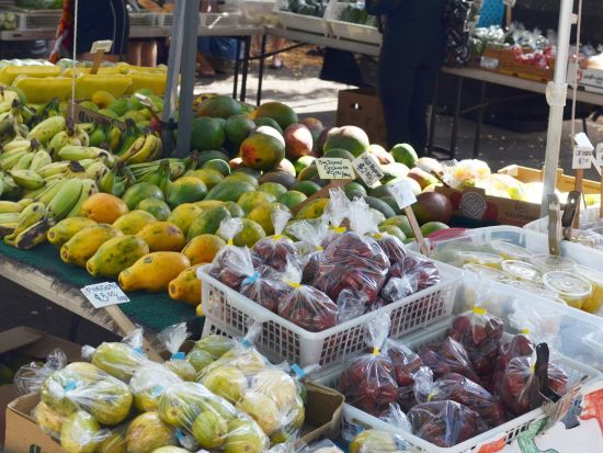 オアフ島半日観光　KCCファーマーズマーケット＋カイムキタウン＋カハラモール＋タンタラスの丘＋マノア・マーケットプレイスを巡る＜土曜日／英語または日本語ガイド＞