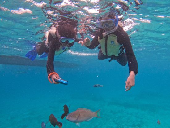 石垣島シュノーケルツアー マンタとウミガメを探す神秘的な感動体験＜器材・ウェットスーツレンタル無料／午前 or 午後／2.5～3時間＞by ラクーアマリンクラブ