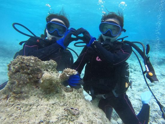 石垣島体験ダイビングツアー　マンタとウミガメ探しの旅へ出かけよう＜器材・ウェットスーツレンタル無料／午前 or 午後／2.5～3時間＞by ラクーアマリンクラブ
