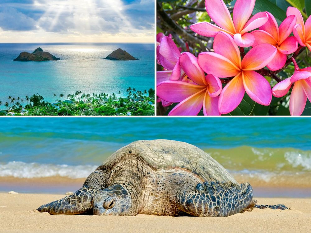 ブーツ＆キモズ>