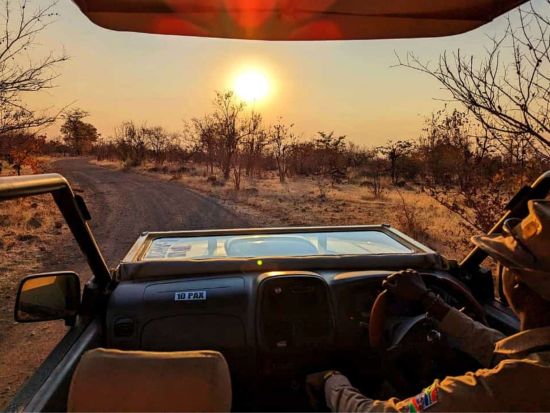 ザンベジ国立公園サファリツアー　ビッグファイブを間近で観察！オープン4輪駆動車でゲームドライブへ＜英語／ビクトリアフォールズ発＞