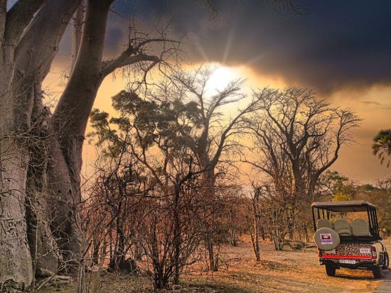 ザンベジ国立公園サファリツアー　ビッグファイブを間近で観察！オープン4輪駆動車でゲームドライブへ＜英語／ビクトリアフォールズ発＞