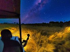 resize night safari