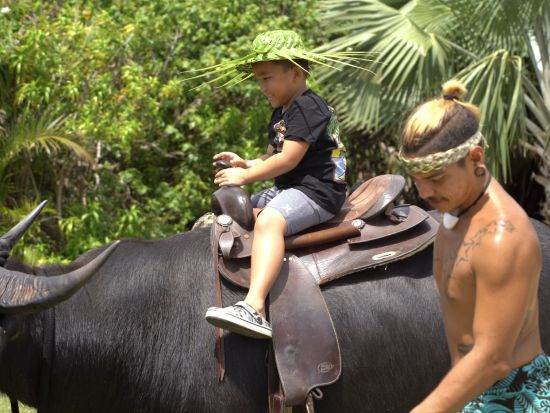 ジャングルリバークルーズ タロフォフォ川の大自然を探検！古代遺跡を見学＆伝統文化に触れる旅＜英語ガイド／チャモロ料理の昼食付き／送迎付きプランあり＞