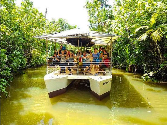 ジャングルリバークルーズ タロフォフォ川の大自然を探検！古代遺跡を見学＆伝統文化に触れる旅＜英語ガイド／チャモロ料理の昼食付き／送迎付きプランあり＞