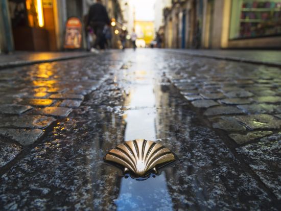 サンティアゴ・デ・コンポステーラ観光1日ツアー 大聖堂＋城塞都市ヴァレンサ・ド・ミーニョの要塞見学＜英語／ポルト発＞