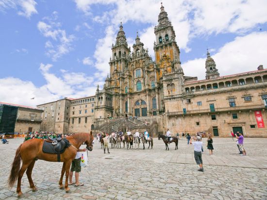 サンティアゴ・デ・コンポステーラ観光1日ツアー 大聖堂＋城塞都市ヴァレンサ・ド・ミーニョの要塞見学＜英語／ポルト発＞