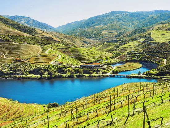 世界遺産ドウロ渓谷クルーズ1日ツアー ペーゾ・ダ・レグア立ち寄り付き＜朝食および昼食付き／ポルト発＞