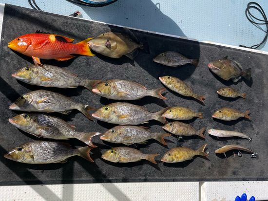 B7426841-961A-4FEC-B7A2-C4D4534632B0