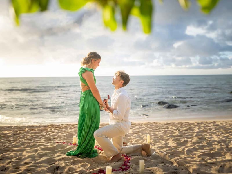 aloha_proposal01