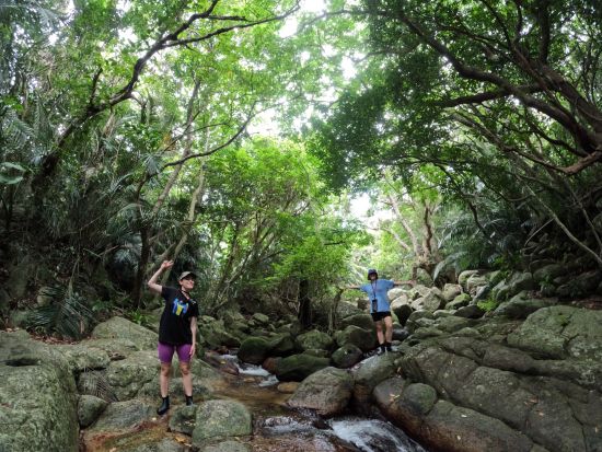 野底岳マーペー登山＆滝遊び "恋愛スポット"として知られるマーペーをトレッキング！迫力満点の屋比久の滝を目指すツアー！＜2時間30分／2歳から参加可能／石垣島＞