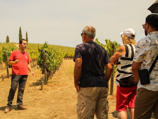 世界遺産ドウロ渓谷クルーズ1日ツアー ピニャン立ち寄り付き＜朝食および昼食付き／ポルト発＞