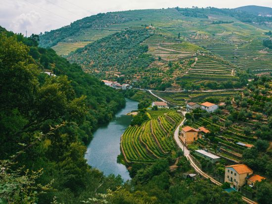 世界遺産ドウロ渓谷クルーズ1日ツアー ピニャン立ち寄り付き＜朝食および昼食付き／ポルト発＞