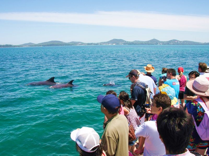 4 MSTQC Dolphin Watching Cruise