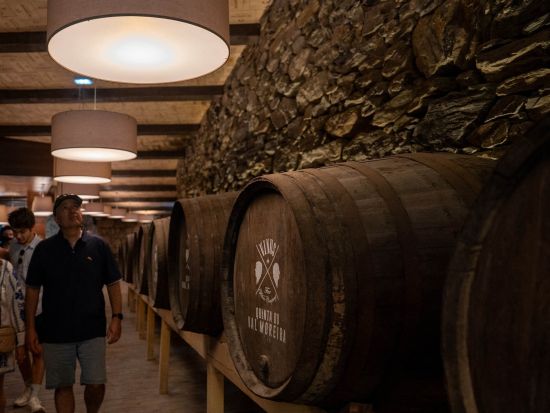 世界遺産ドウロ渓谷 ワイナリー訪問1日ツアー　ワイナリーのランチ＋ドウロ川クルーズ付き＜英語／ポルト発＞