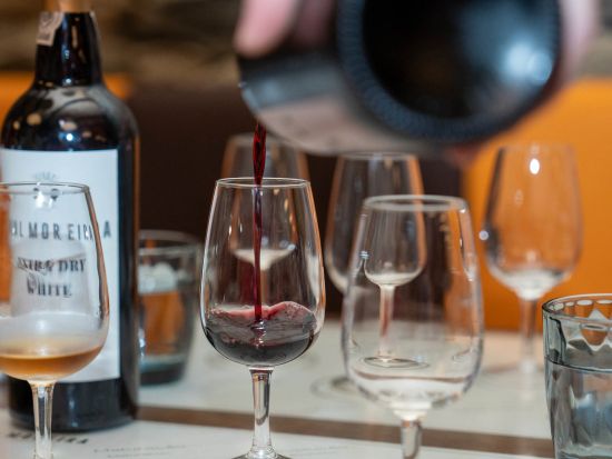 世界遺産ドウロ渓谷 ワイナリー訪問1日ツアー　ワイナリーのランチ＋ドウロ川クルーズ付き＜英語／ポルト発＞