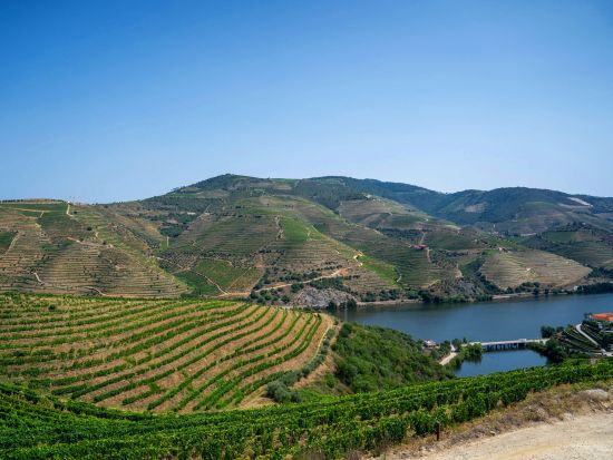 世界遺産ドウロ渓谷 ワイナリー訪問1日ツアー　ワイナリーのランチ＋ドウロ川クルーズ付き＜英語／ポルト発＞