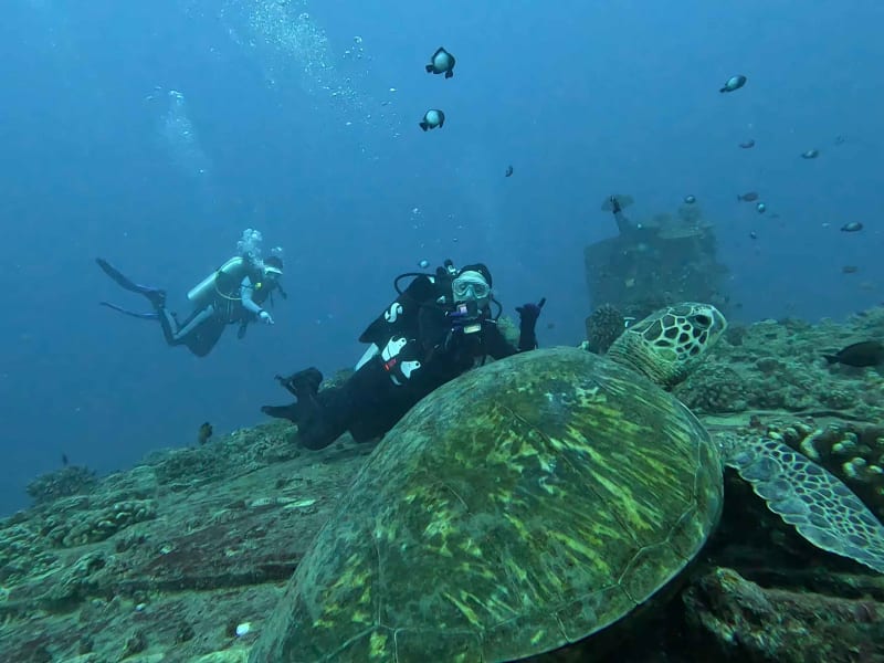 Tracy with Honu