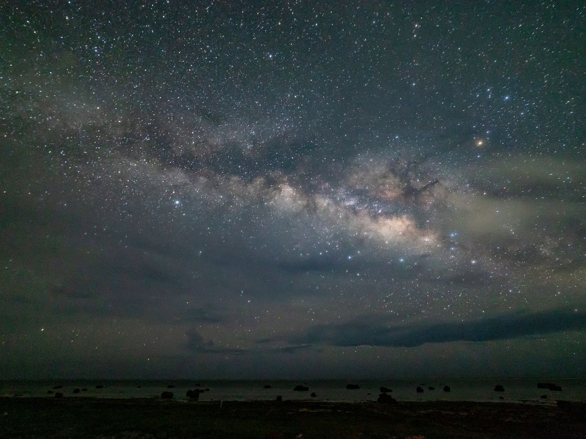 生き物大好きな皆さんのためのナイトツアー！星空保護区内で