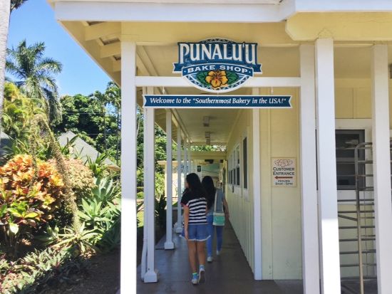 貸切チャーター（1-10名）　ハワイ島内の見どころを自由に観光！＜3～12時間／日本語ガイド／ハワイ島＞