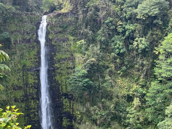 貸切チャーター（1-10名）　ハワイ島内の見どころを自由に観光！＜3～12時間／日本語ガイド／ハワイ島＞