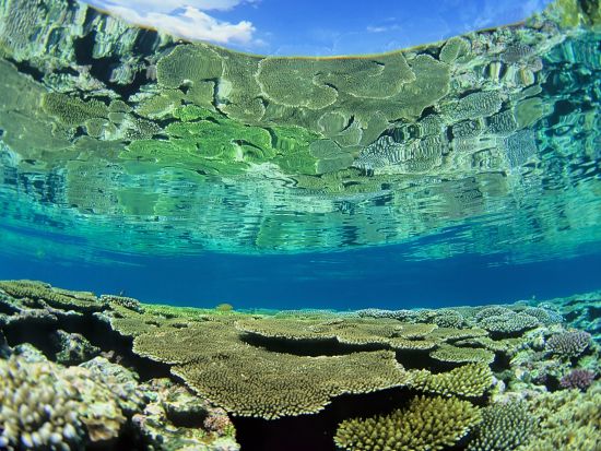 レンタカー予約サービス Sクラス 免責補償料込み＜1日～／空港送迎無料／全車カーナビ・ETC・バックカメラ付／石垣島＞