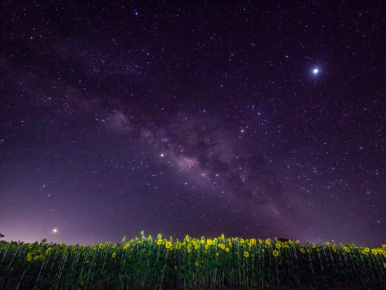 レンタカー予約サービス Sクラス 免責補償料込み＜1日～／空港送迎無料／全車カーナビ・ETC・バックカメラ付／宮古島＞