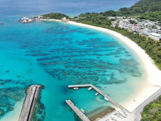 日帰りファンダイビング ライセンス保持者対象◎2ダイブでケラマブルーをとことん堪能＜ボートエントリー／約1時間30分／渡嘉敷島＞