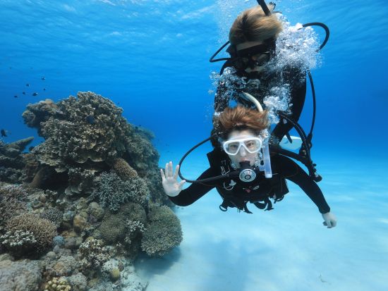 日帰り体験ダイビングプラン 初めての方大歓迎◎少人数制でゆっくりペースに合わせてケラマブルーを堪能♪＜ボートエントリー／約1時間30分／渡嘉敷島＞